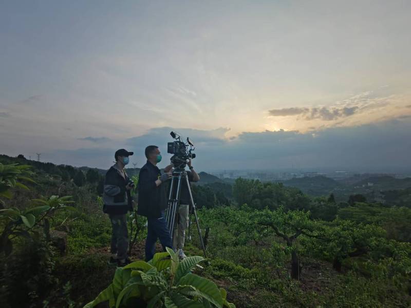 创意破圈！清河门区电商产品宣传视频用故事化叙事引爆流量