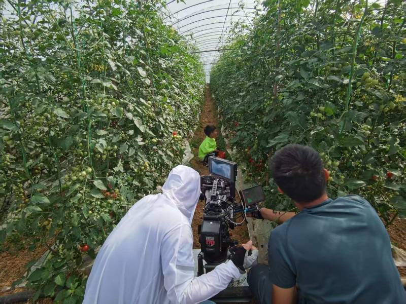 清河门区产品宣传视频拍摄公司进阶指南，助力品牌抢占传播高地